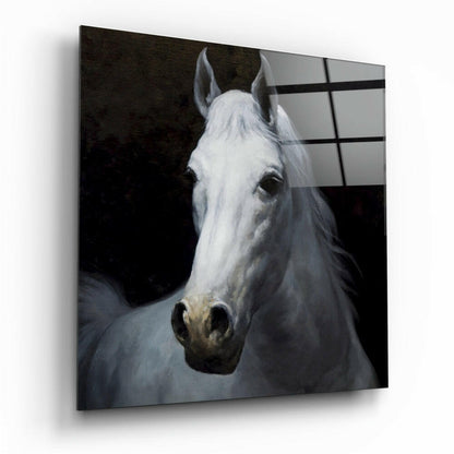 White Stallion Head Portrait Glass Wall Art