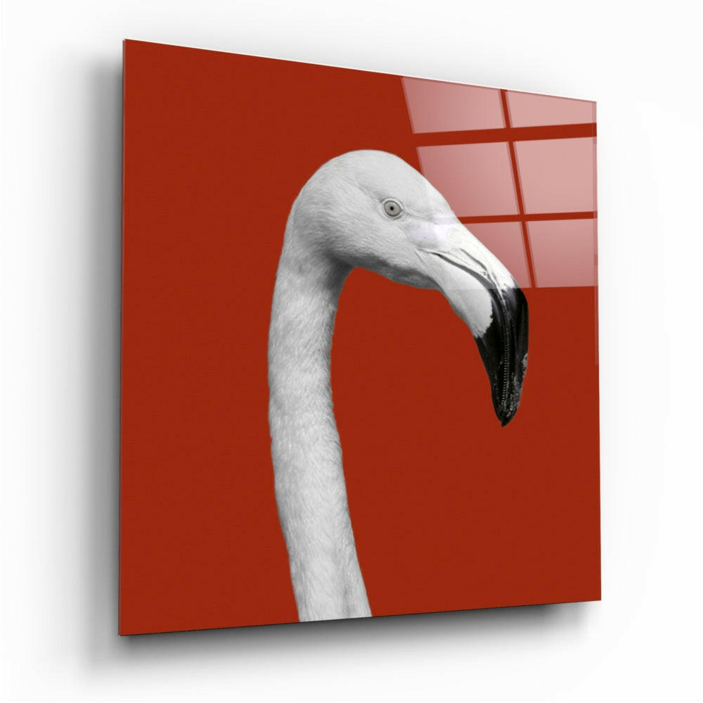 White Flamingo Head Red Square Glass Wall Art