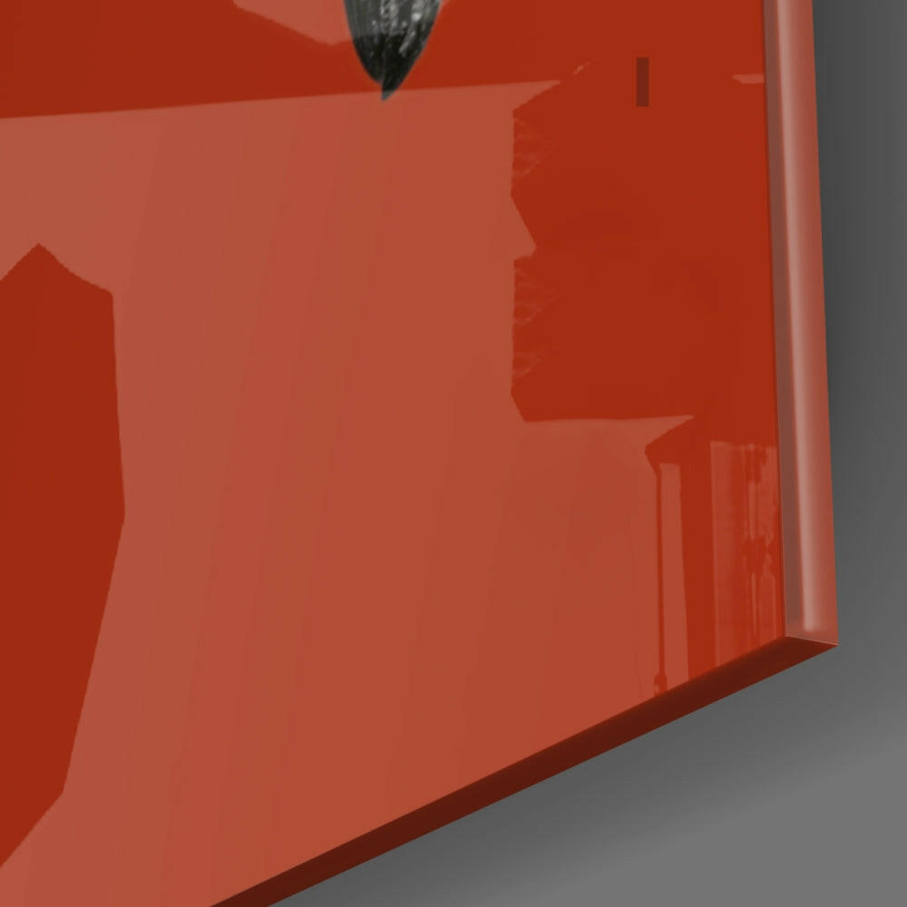 White Flamingo Head Red Square Glass Wall Art