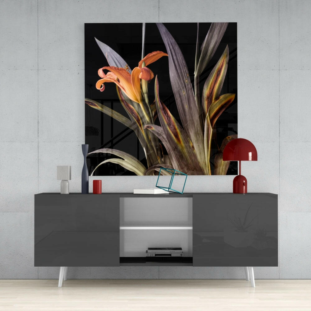 Orange Daylily Bloom Glass Wall Art