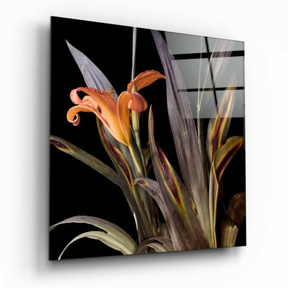 Orange Daylily Bloom Glass Wall Art