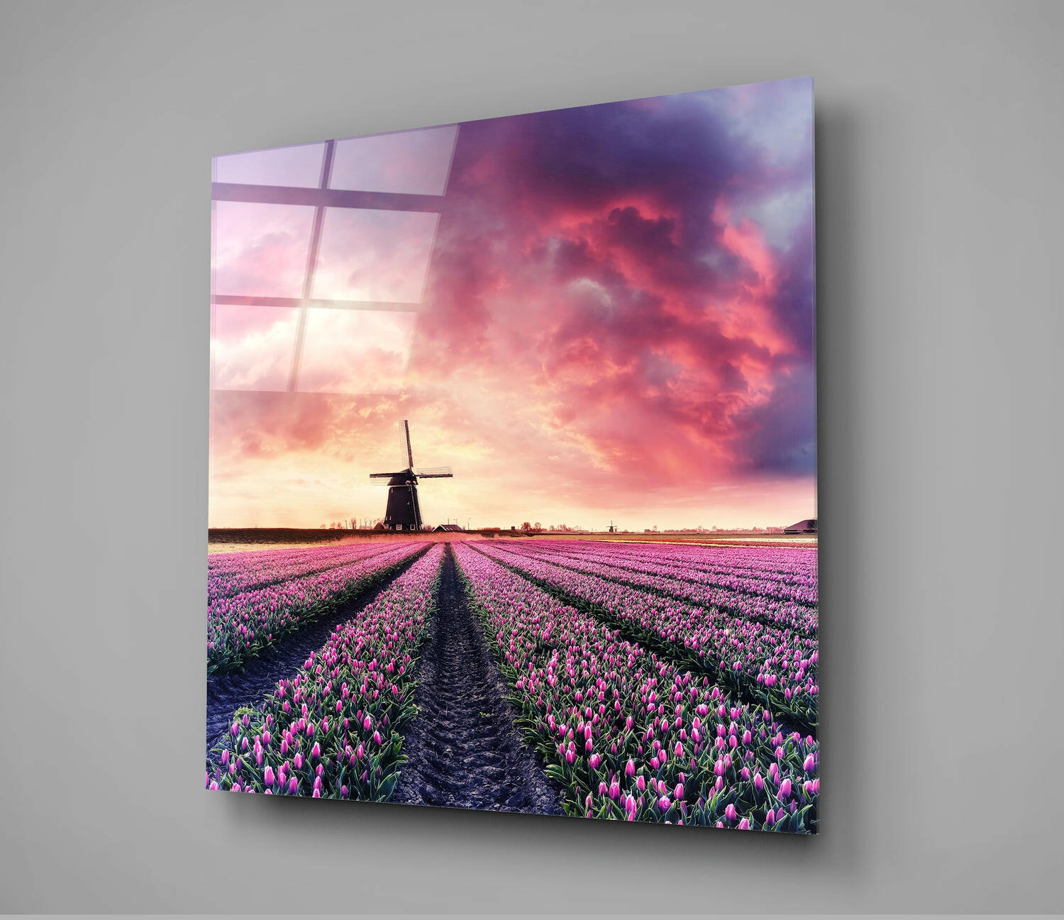 Tulip Field Glass Wall Art