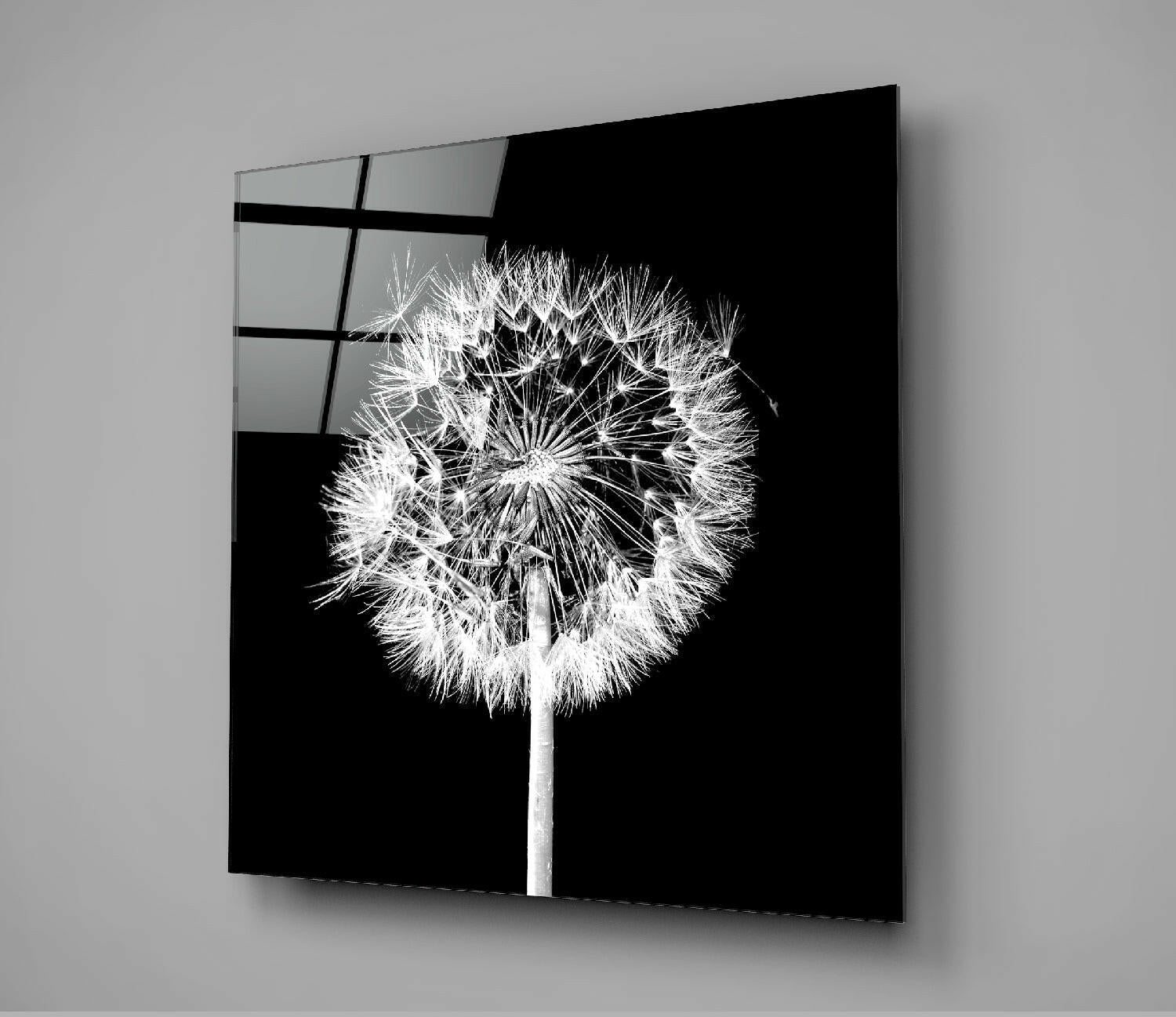 White Dandelion Black Square Glass Wall Art