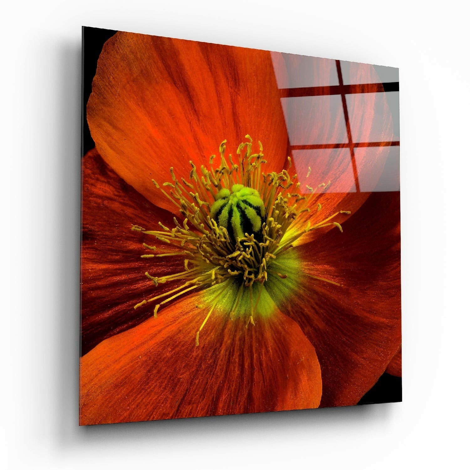 Orange Poppy Green Heart Glass Wall Art