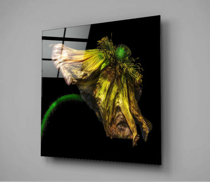 Withered Green Poppy Glass Wall Art