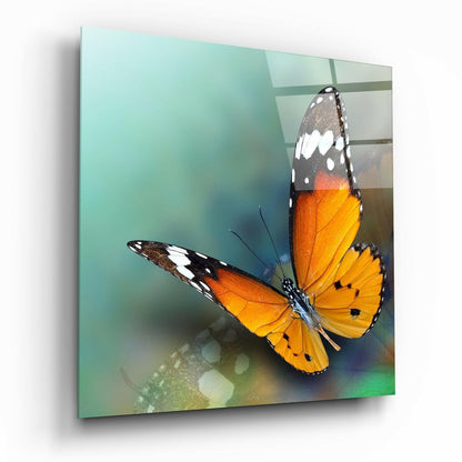 Orange Butterfly on Teal Glass Wall Art