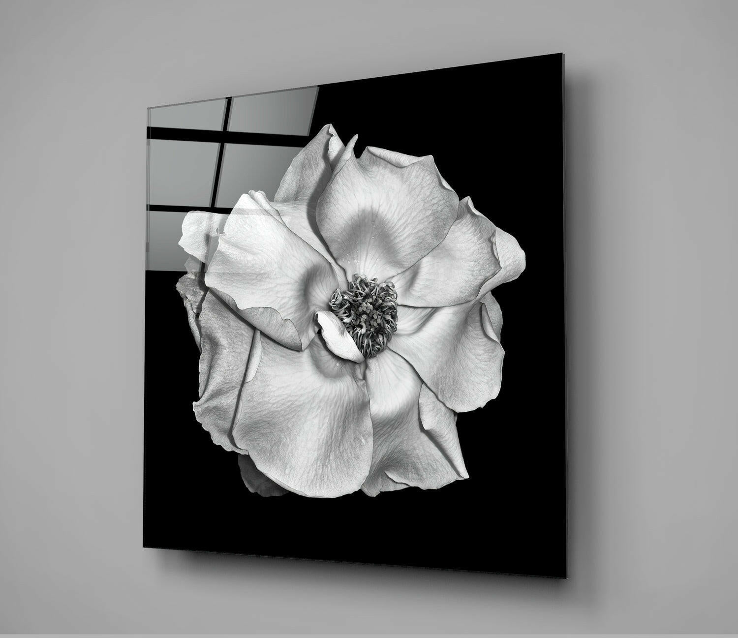 Monochrome White Rose Glass Wall Art