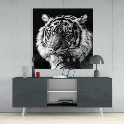 Tiger&