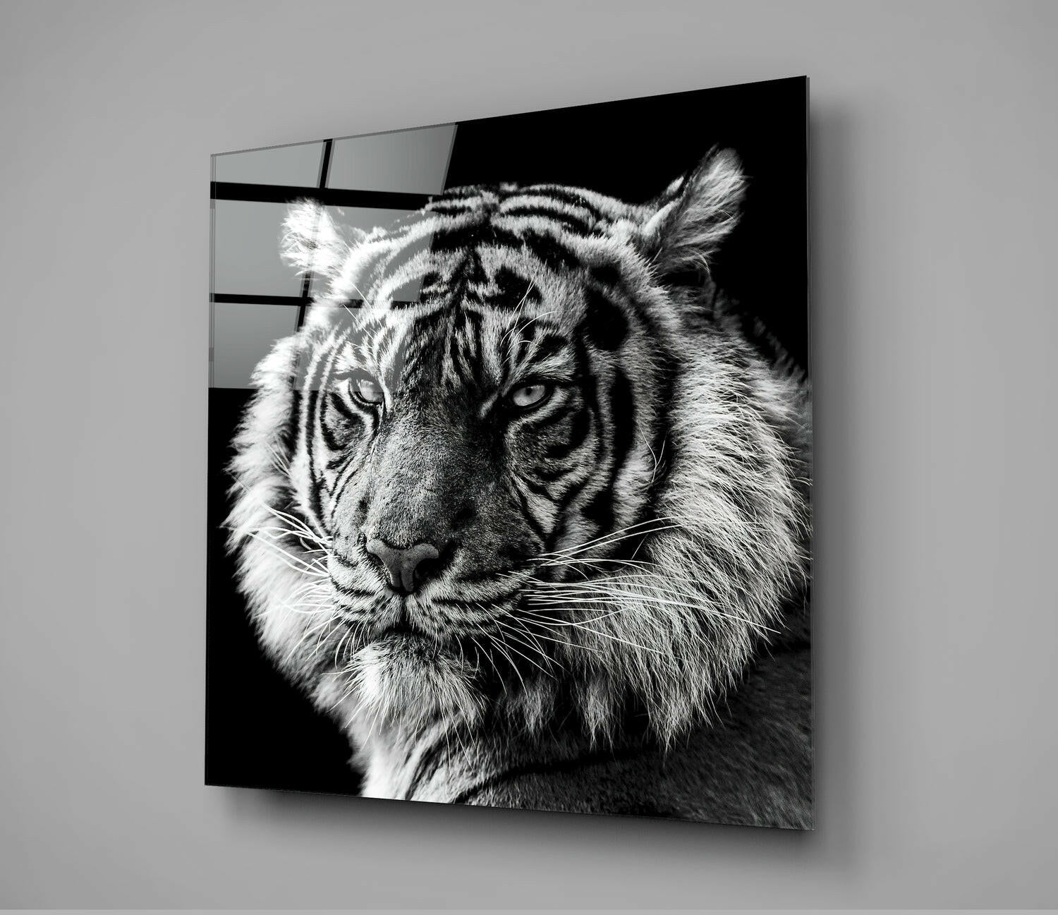 Tiger&