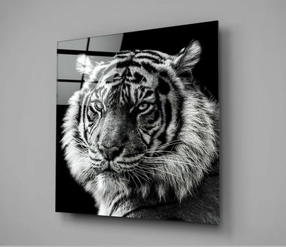 Tiger&