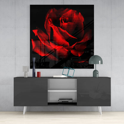 Crimson Rose Bloom on Black Glass Wall Art