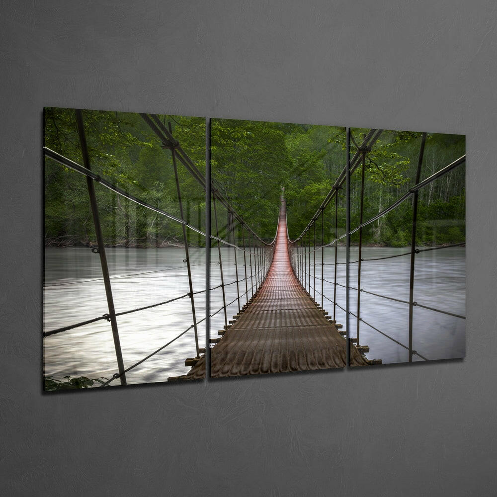 Forest Suspension Footbridge View Glass Wall Art