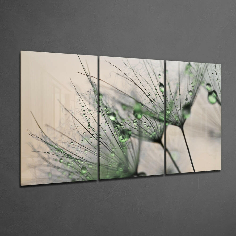 Dewdrop Dandelion Seeds Macro Glass Wall Art