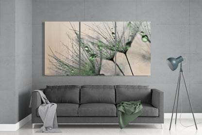 Dewdrop Dandelion Seeds Macro Glass Wall Art