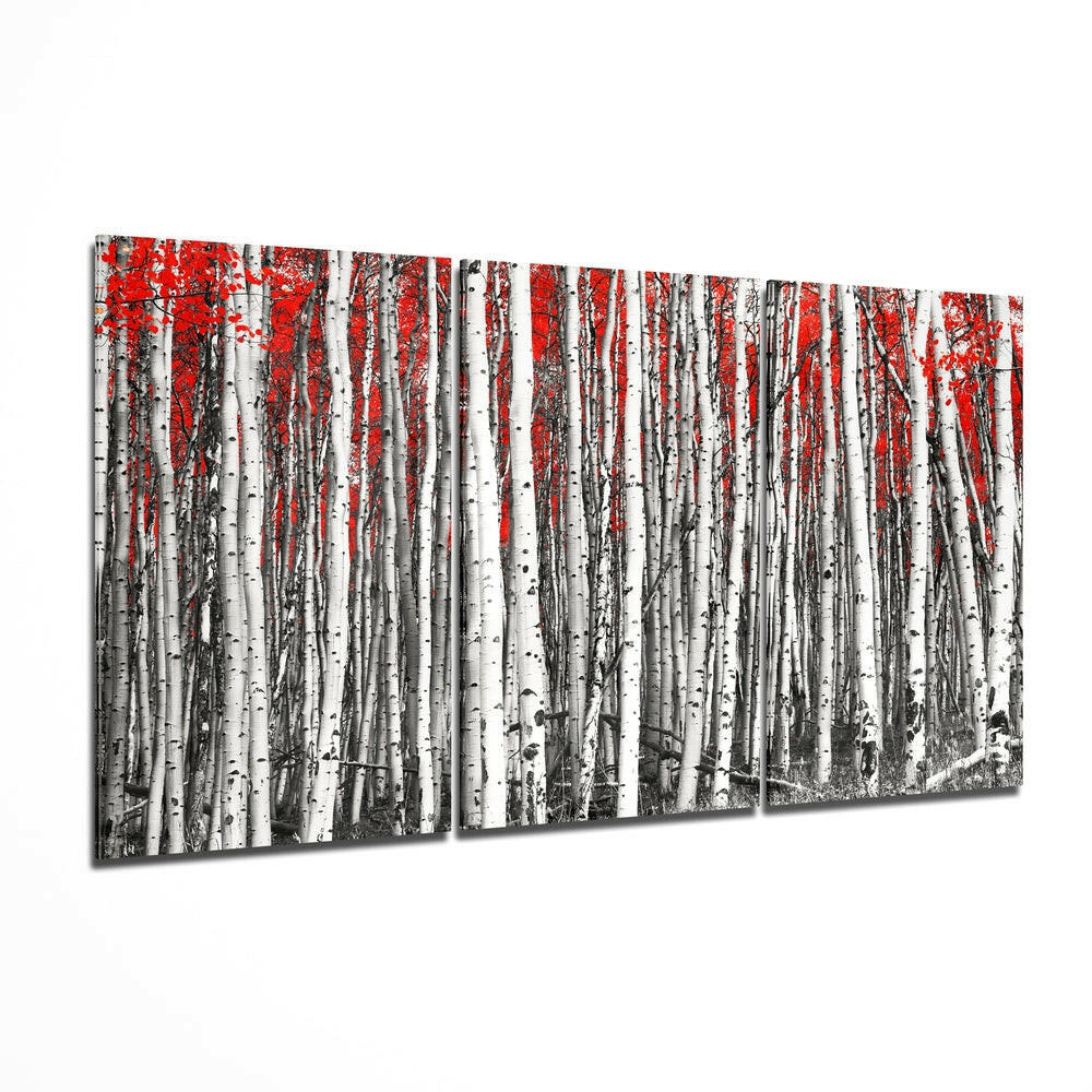 Triptych White Birch Grove Red Canopy Glass Wall Art