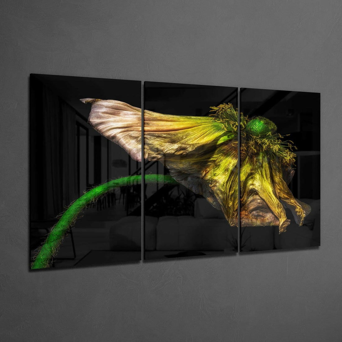 Wilting Yellow Poppy On Black Glass Wall Art