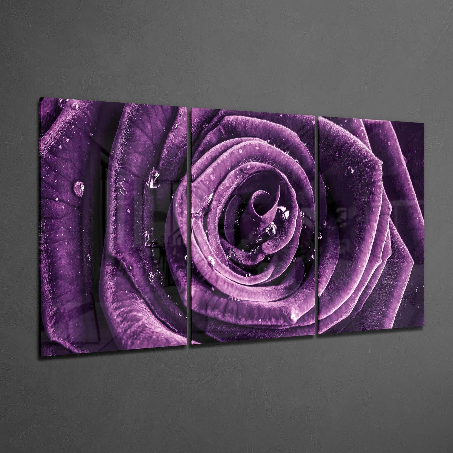 Dewdrop Purple Rose Triptych Glass Wall Art