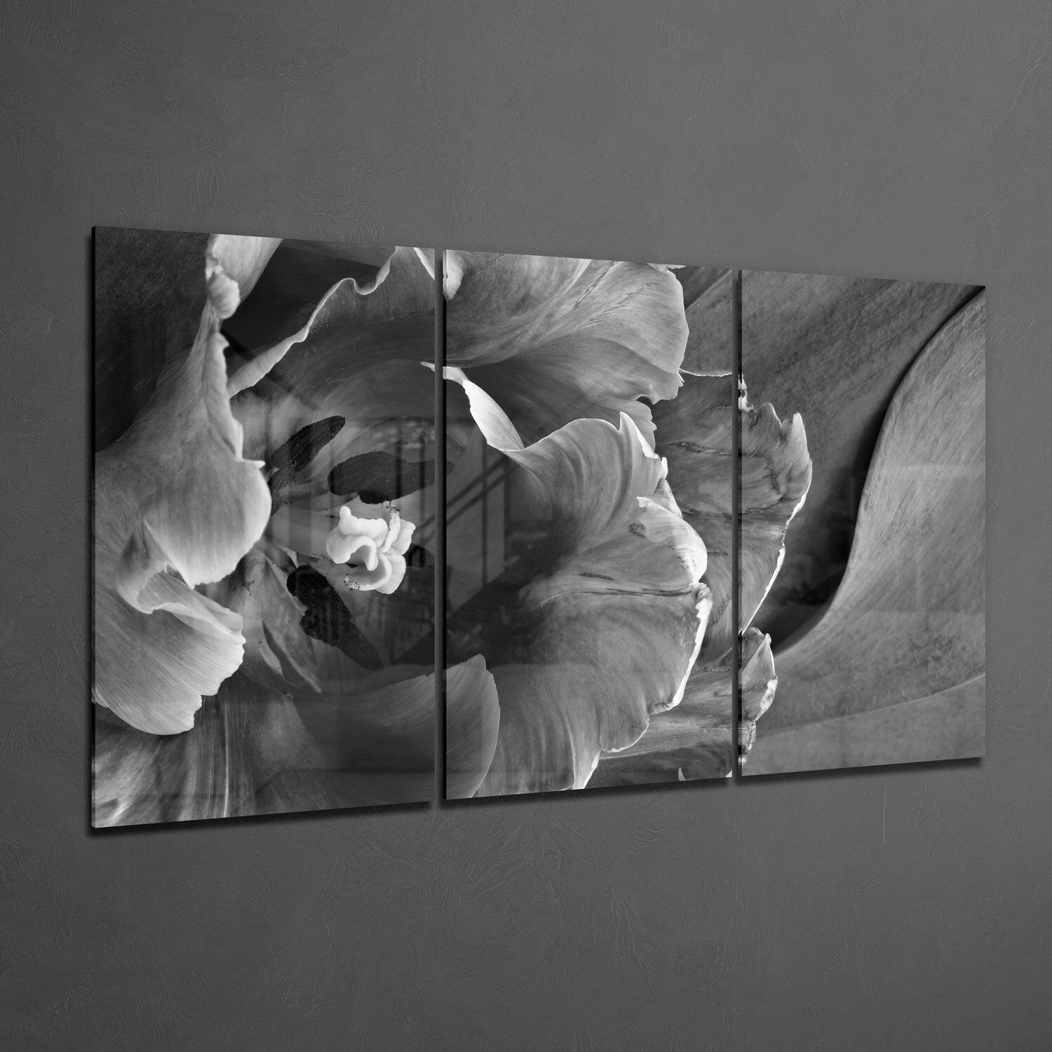 Gray Tulip Petals Triptych Glass Wall Art
