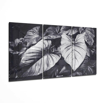 Black White Tropical Leaves Glass Wall Art