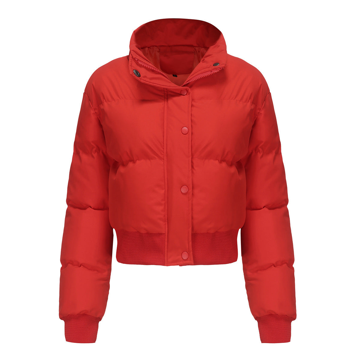 Autumn and winter women&