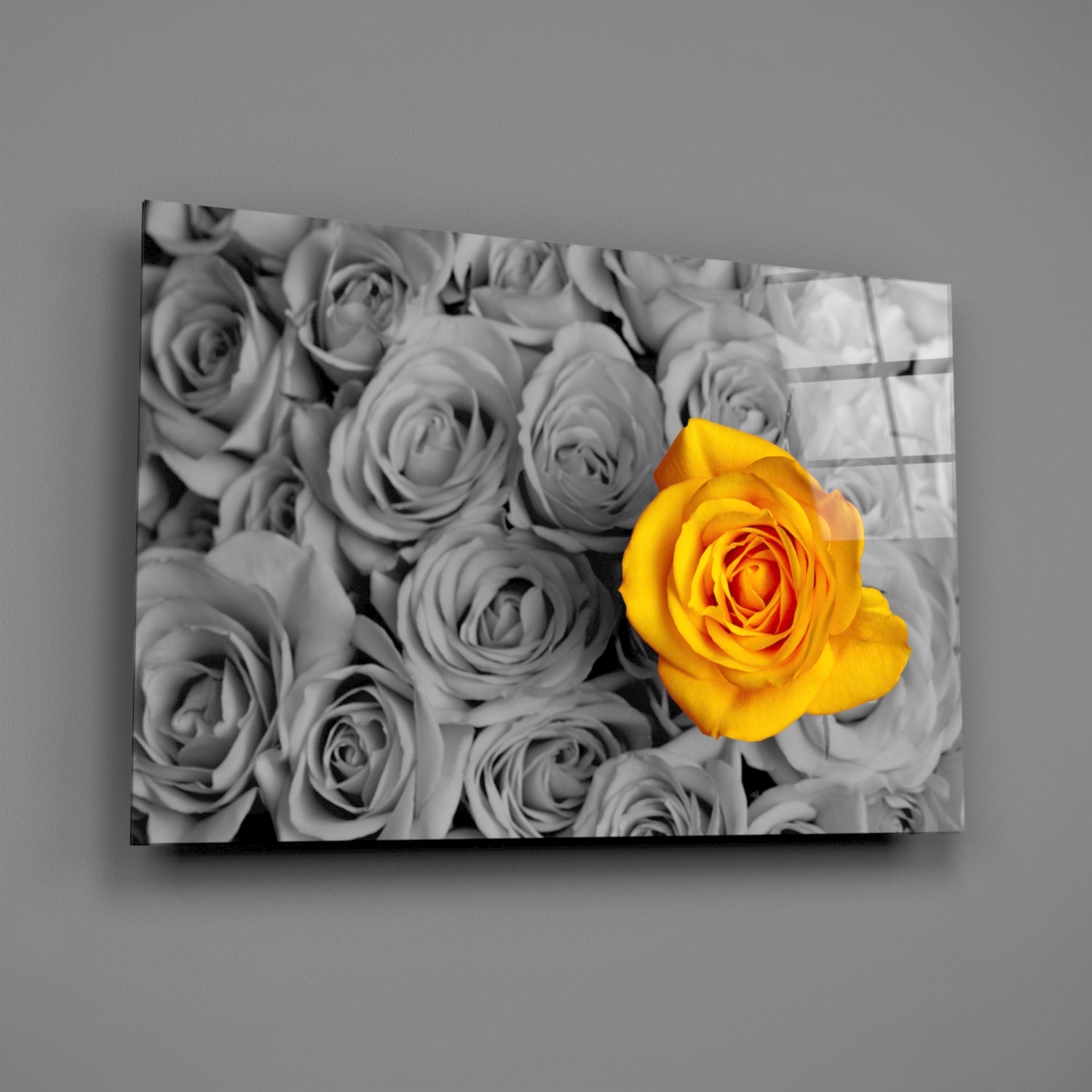 Vivid Yellow Rose Gray Roses Glass Wall Art