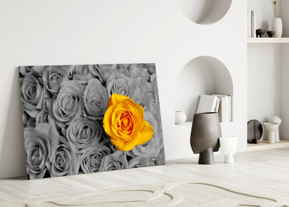 Vivid Yellow Rose Gray Roses Glass Wall Art