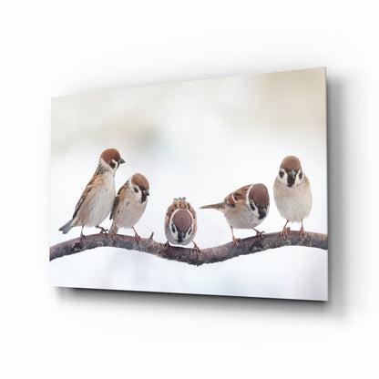 Five Sparrows Perched On Branch Glass Wall Art