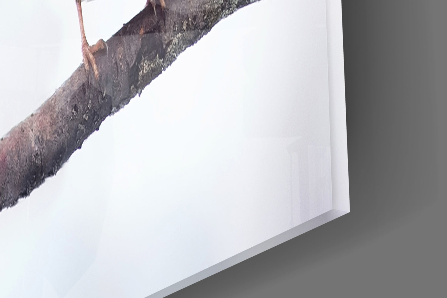 Five Sparrows Perched On Branch Glass Wall Art