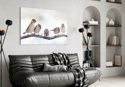 Five Sparrows Perched On Branch Glass Wall Art