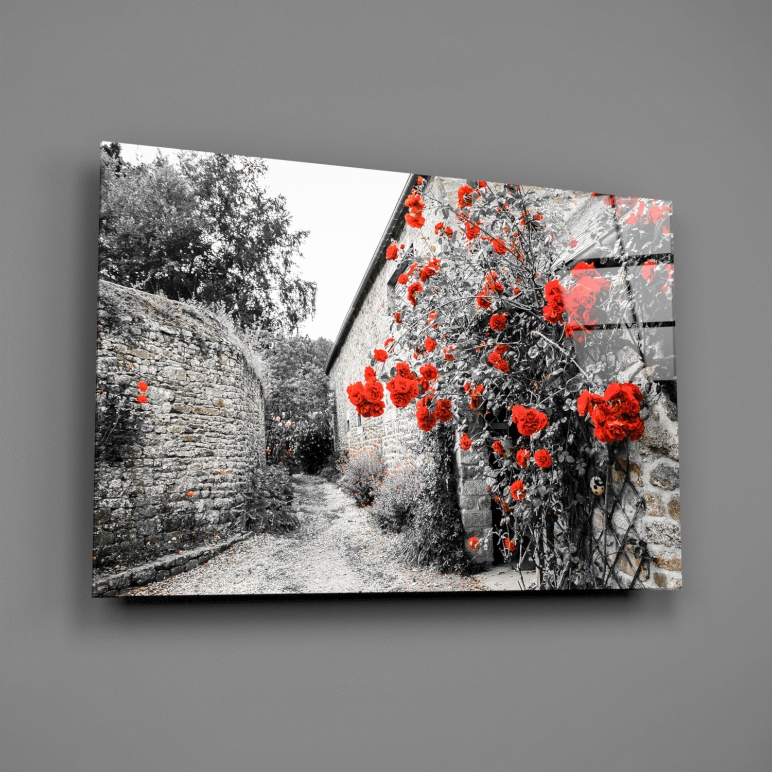 Red Roses Over Gray Stone Alley Glass Wall Art