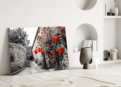Red Roses Over Gray Stone Alley Glass Wall Art