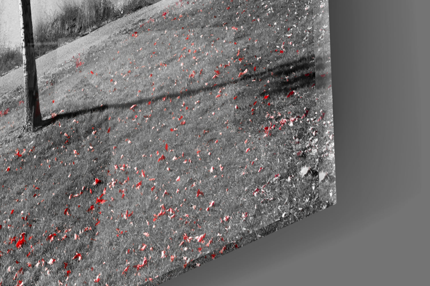 Lone Red Tree Bench Glass Wall Art