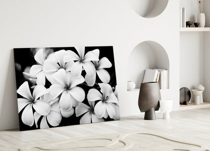 Monochrome Plumeria Cluster Glass Wall Art