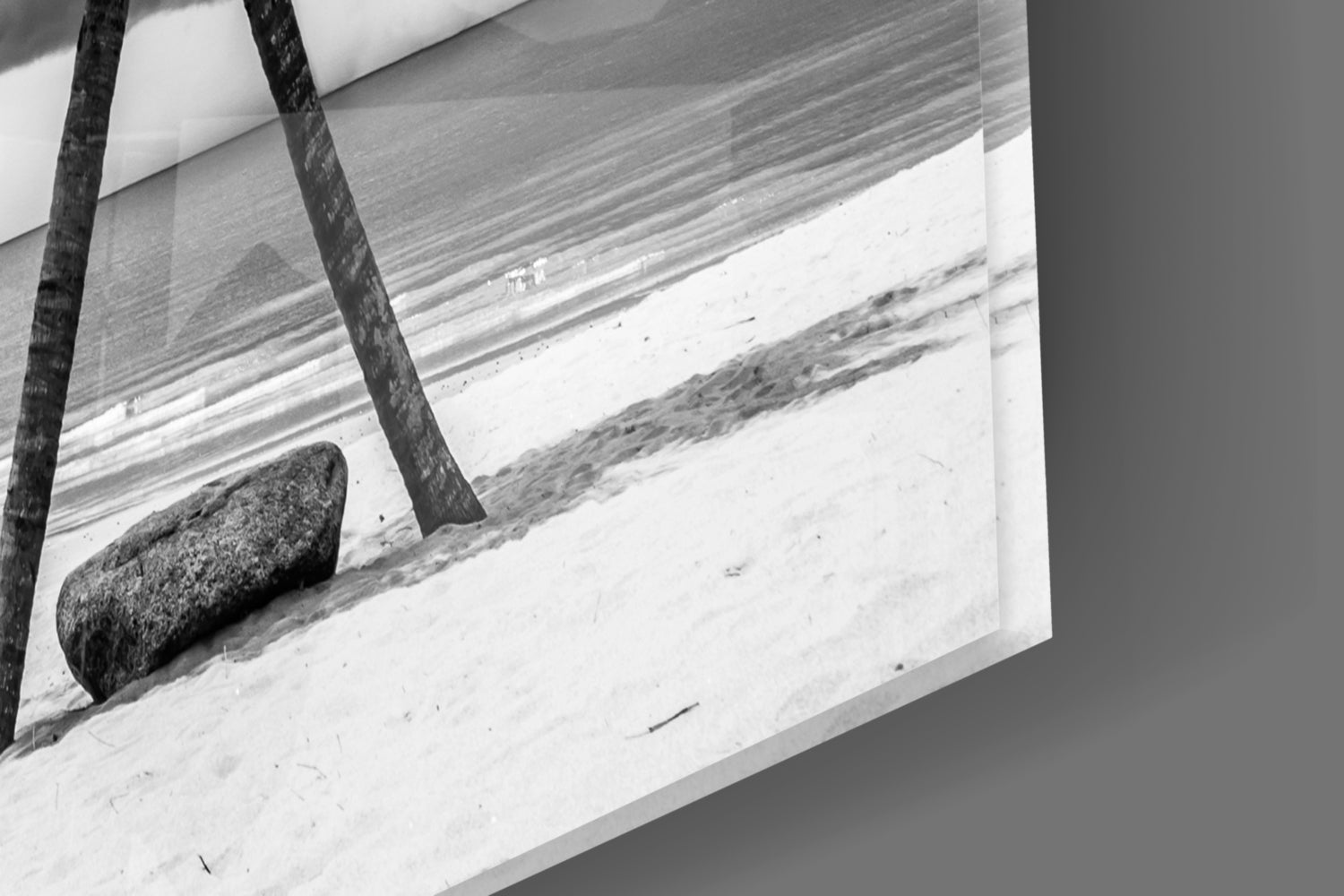 Black And White Twin Beach Palm Trees Glass Wall Art
