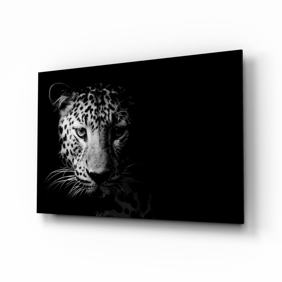Leopard Face In Shadow Glass Wall Art