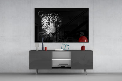 Leopard Face In Shadow Glass Wall Art