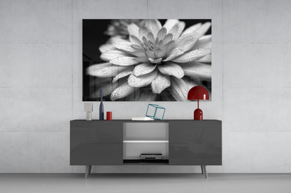 Dewy Gray Dahlia Macro Glass Wall Art