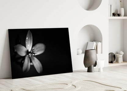 Dark Moody Dewdrop Flower Glass Wall Art
