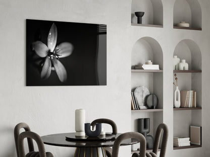 Dark Moody Dewdrop Flower Glass Wall Art