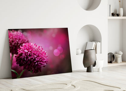 Magenta Pompom Dahlia Glass Wall Art