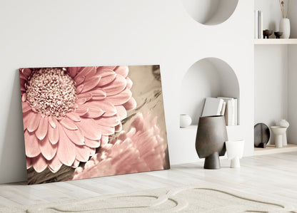 Blush Gerbera Daisy Macro Glass Wall Art