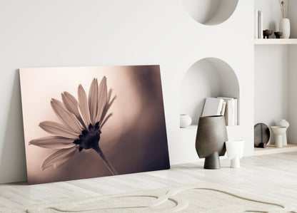 Sepia Backlit Daisy Silhouette Glass Wall Art