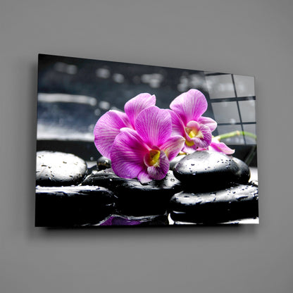Magenta Orchid Pair Black Stones Glass Wall Art