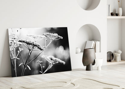 Frosted Wildflower Umbels Glass Wall Art
