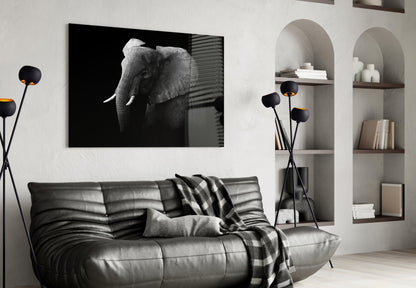 Ear Detail Black and White Elephant Glass Wall Art