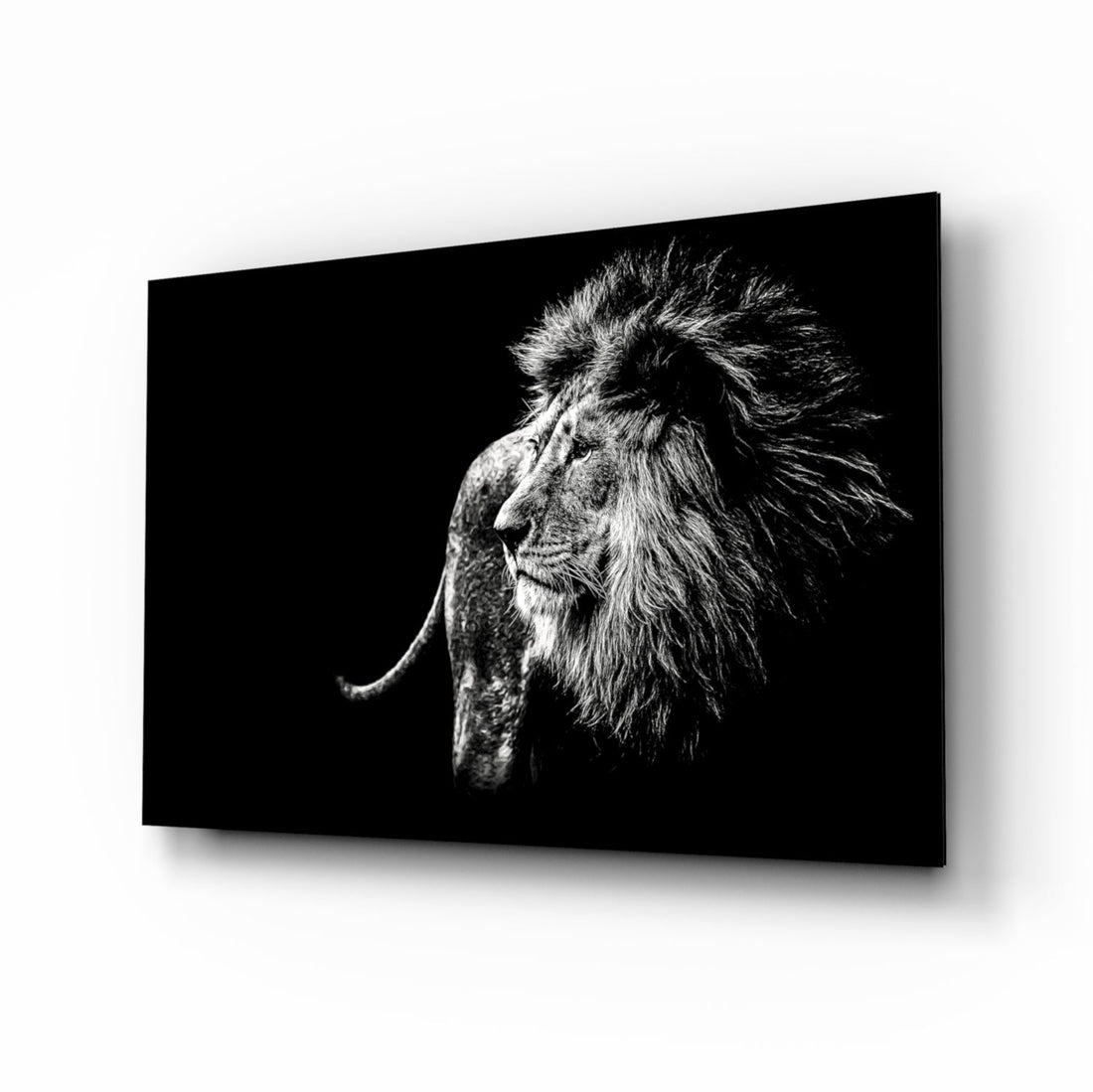 Windswept Lion Side Profile Glass Wall Art