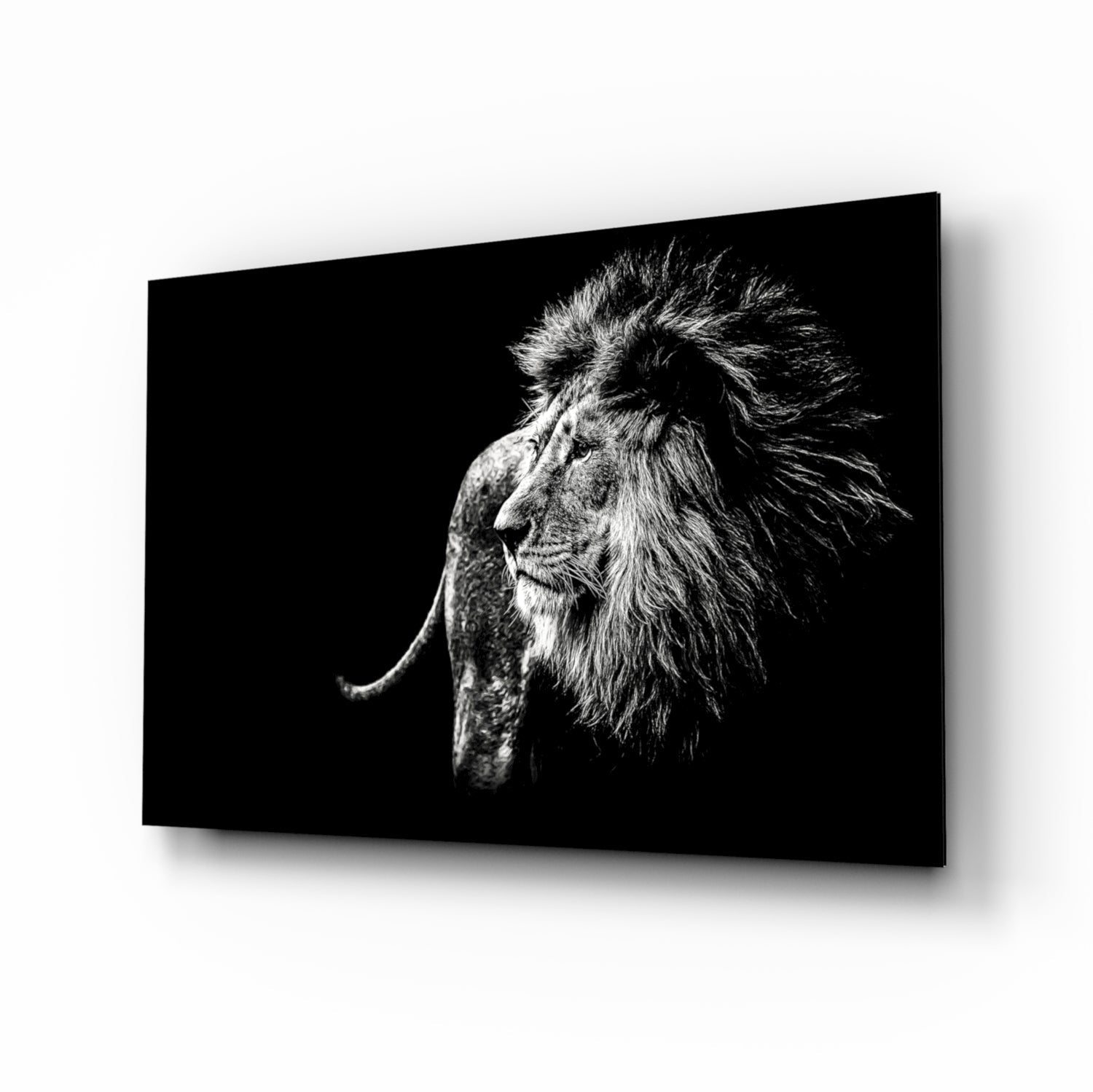 Windswept Lion Side Profile Glass Wall Art