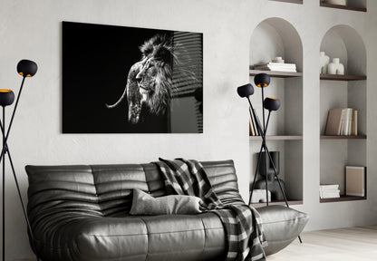 Windswept Lion Side Profile Glass Wall Art