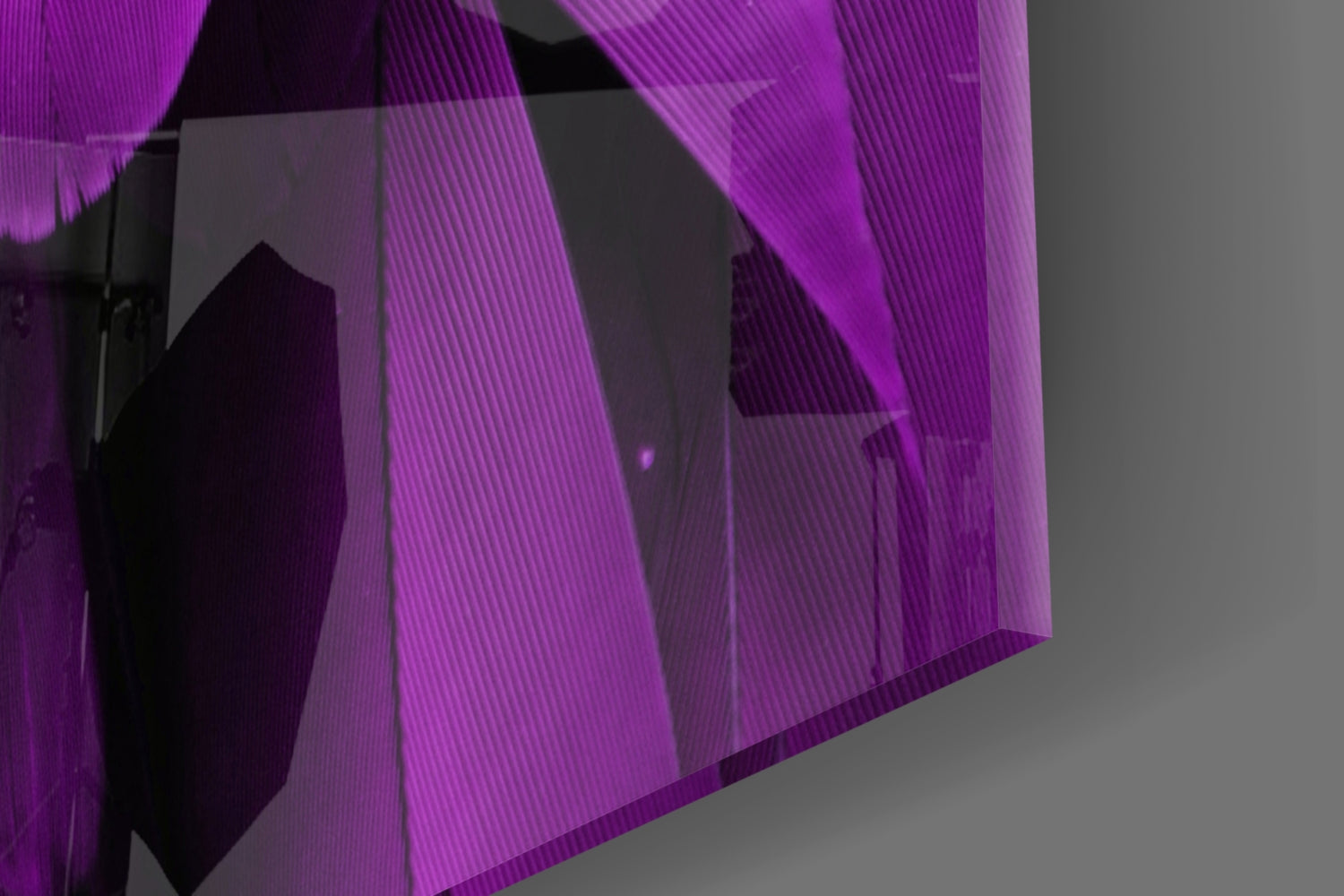 Violet Layered Feather Macro Glass Wall Art