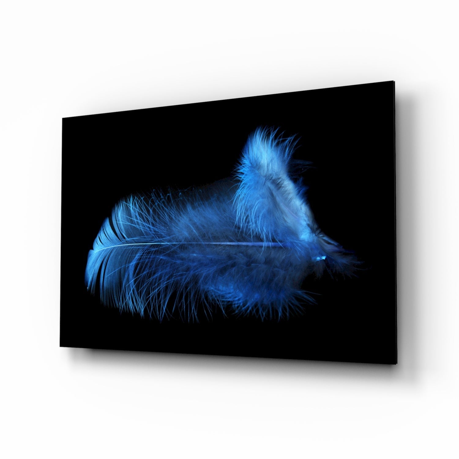 Fluffy Blue Feathers On Black Glass Wall Art
